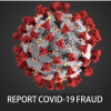 DOJ Report COVID-19 Fraud