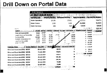 Drill down portal data screen shot