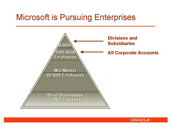 This image shows a pyramid which is a representation of the Microsoft customer taxonomy for all their products