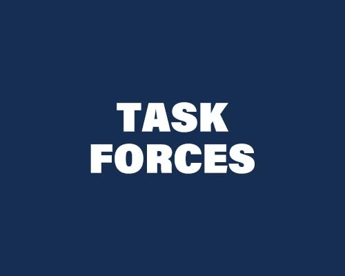 Task Forces