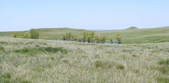 Dakota Prairie Grasslands, Courtesy USDA FS Photo by Dr Jeremy Guinn