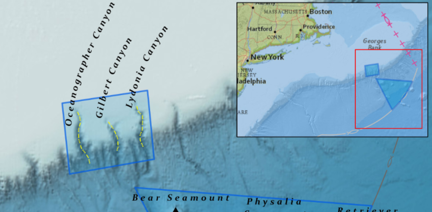 Hero Northeast Canyons and Seamounts, Photo by NOAA