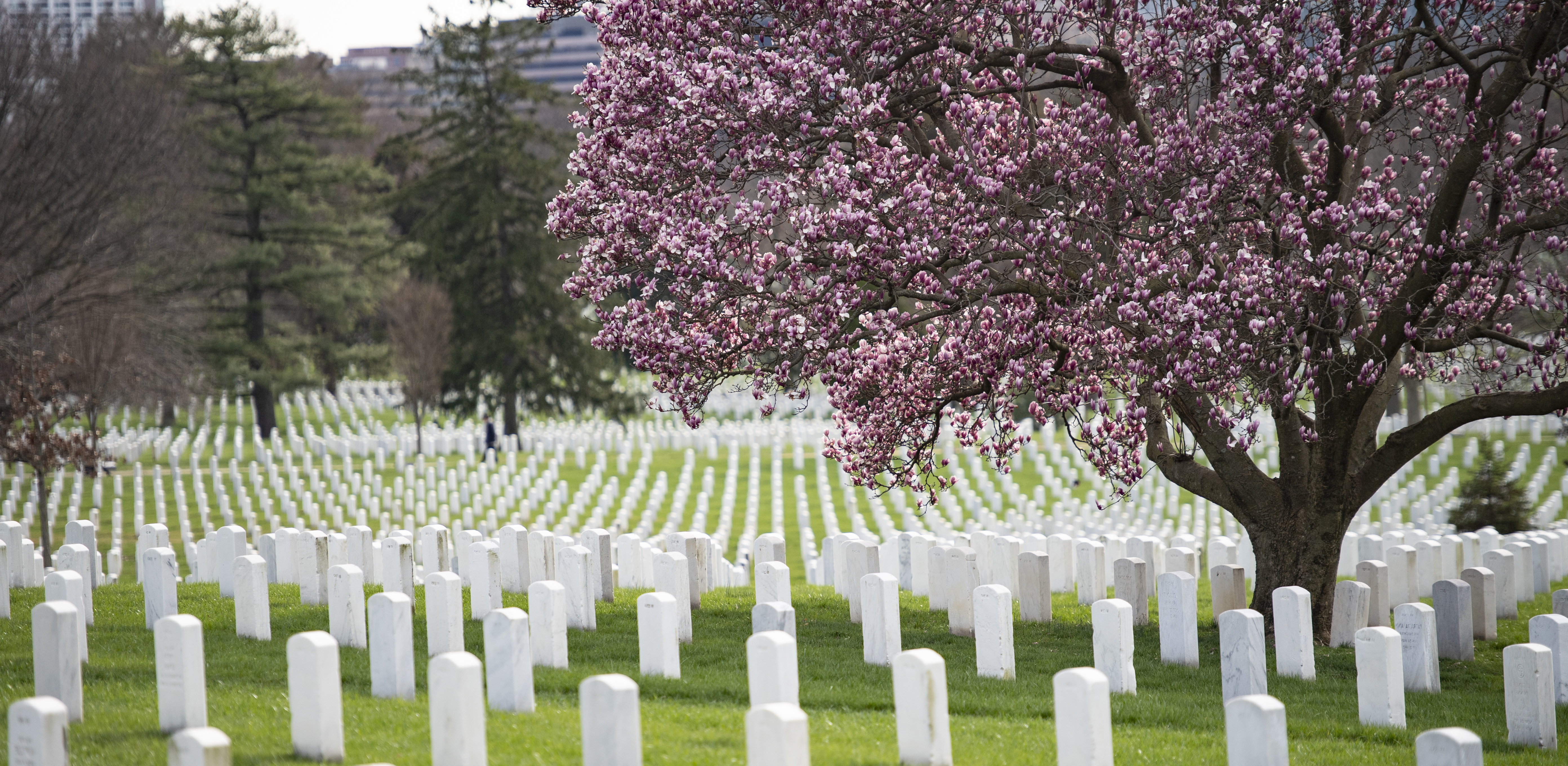 Arlington National Cemetery Carousel Photo by U.S. Army