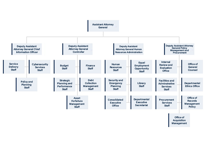 Small image of JMD organization chart