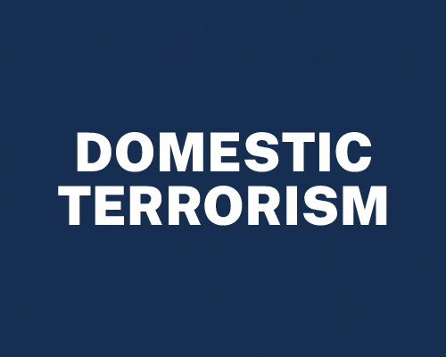 Domestic Terrorism text 