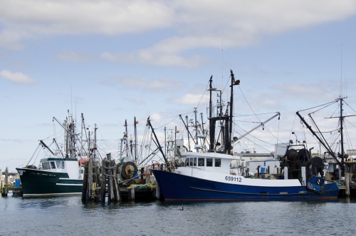 Fisheries Fishing Boats Courtesy NOAA