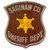 Saginaw Sheriff _logo